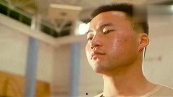 劈雳凤凰全集在线观看,传奇仙侠，热血激战，在线观看，尽享仙侠盛宴