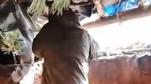 伞兵爆料最新动态视频,揭秘神秘训练与实战演练 第3张 伞兵爆料最新动态视频,揭秘神秘训练与实战演练 第3张