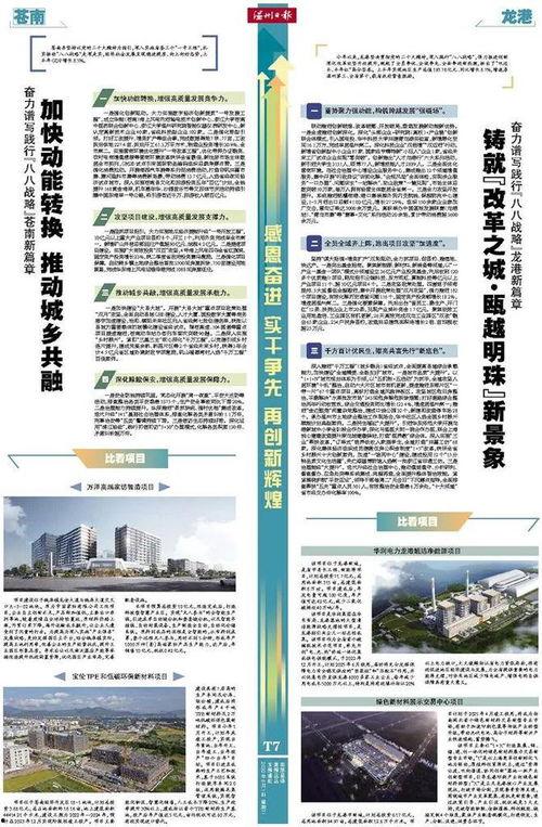 龙港最新爆料,揭秘神秘项目背后的惊人真相